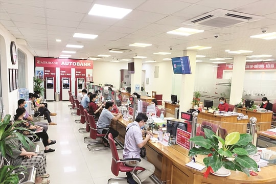 Gần 60.000 tỷ đồng được Agribank dành triển khai tín dụng lãi suất thấp