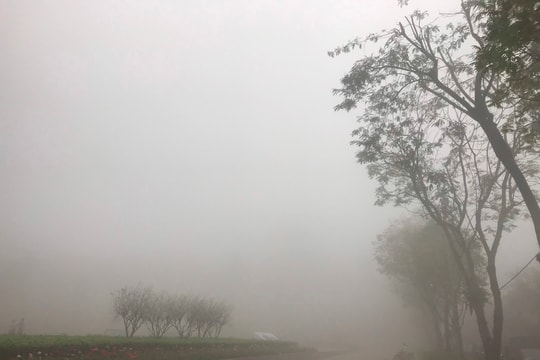 Chuyên gia lý giải hiện tượng sương mù dày đặc tại Hà Nội