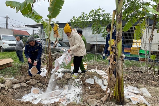 Tiêu hủy gần 500 kg thực phẩm đông lạnh có mùi hôi thối