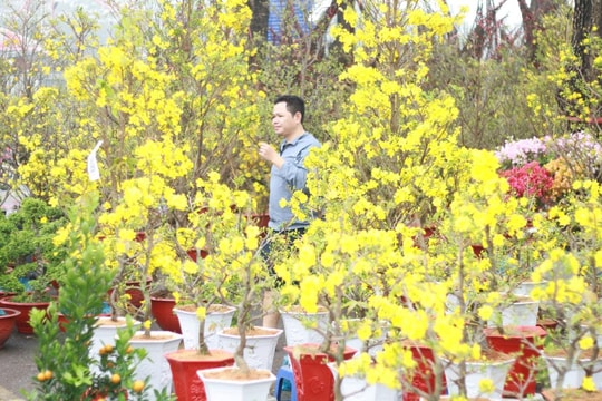 Những gam màu của mùa xuân