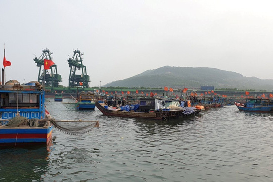 Ứng phó rét đậm, rét hại và gió mạnh trên biển