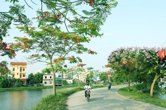 Thêm 40 xã đạt chuẩn nông thôn mới nâng cao năm nay