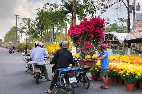 'Mang Tết' đến với mọi nhà