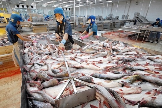 Xuất khẩu thủy sản sang Hàn Quốc tăng 35%