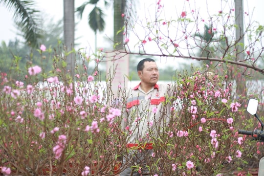 Dự báo thời tiết Hà Nội những ngày Tết