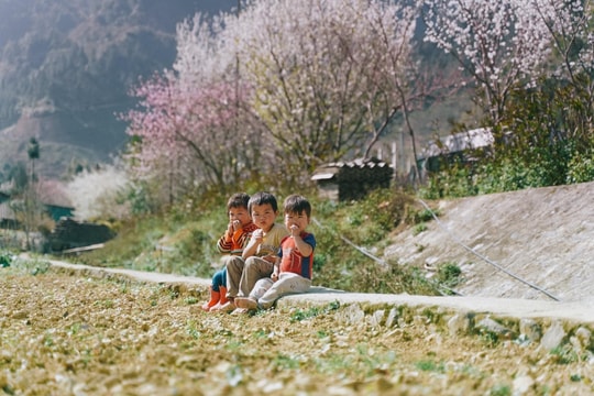 Cung đường mùa Xuân - Con đường Hạnh phúc