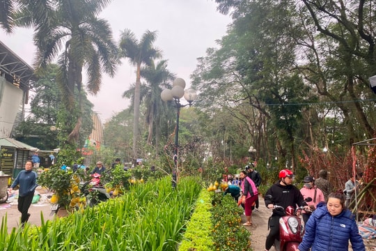 Hà Nội: Nô nức chợ hoa ngày cận Tết Nguyên đán Giáp Thìn