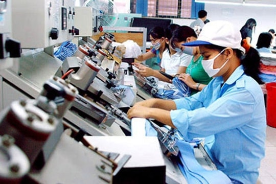 13,5 nghìn doanh nghiệp thành lập mới trong tháng 1