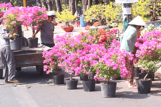 Chợ hoa xuân TP.HCM dọn dẹp trả mặt bằng ngày 30 Tết