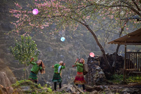 Mùa hoa trên miền đá khi xuân sang