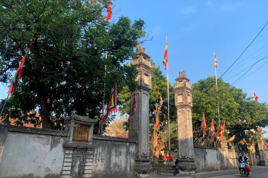 Tìm đến mảnh đất có cây nhãn tổ
