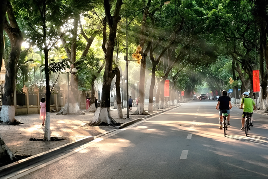 Ba miền nắng đẹp ngày mùng 4 Tết, Bắc Bộ sáng và đêm trời rét