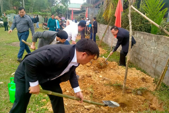 Tết trồng cây đời đời nhớ ơn Bác Hồ vĩ đại