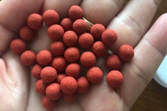 Chữa bệnh bằng thuốc cam, bé gái 9 tuổi nguy kịch vì ngộ độc chì