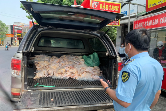 Tiêu hủy 120 kg thịt gà trên đường đi tiêu thụ ở Long An