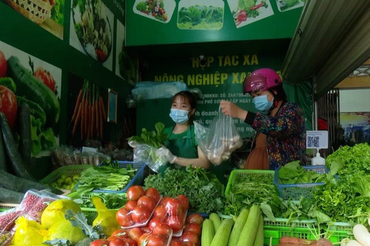 Đào tạo nông dân trở thành giám đốc HTX nông nghiệp