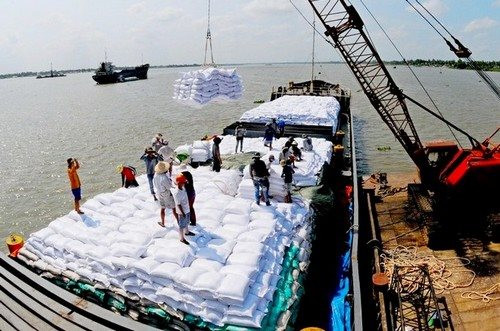 Dự báo nguồn cung gạo thương mại thế giới giảm mạnh trong năm 2024