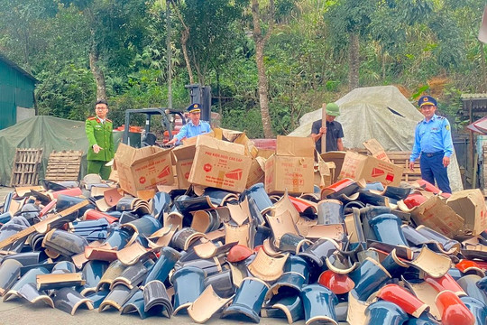 Công ty Ngọc Sơn bị xử phạt 90 triệu đồng
