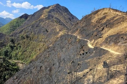 Đã khống chế được điểm cháy mới tại Vườn Quốc gia Hoàng Liên