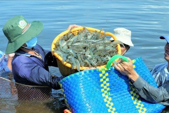 Xuất khẩu thủy sản Việt Nam phục hồi mạnh trong năm 2024