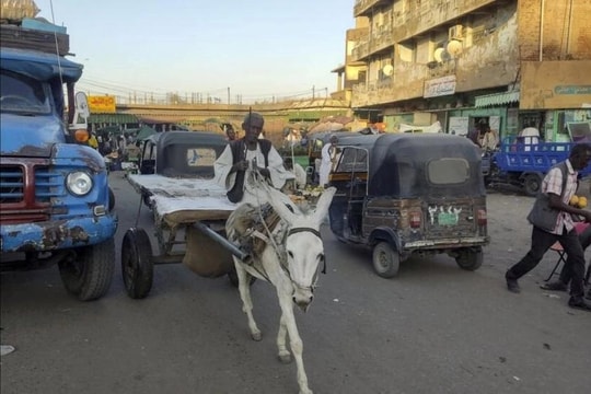 Nền kinh tế tuột dốc, Sudan chìm vào khủng hoảng đói nghèo