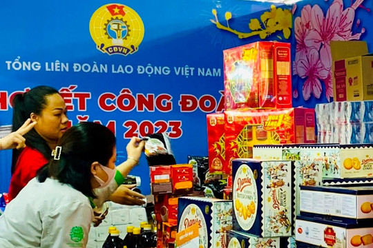 Kết quả hoạt động chăm lo Tết 2024 cho người lao động của các cấp công đoàn