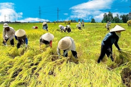 Bạn bè quốc tế đánh giá cao sự phát triển mạnh mẽ của nông nghiệp xanh Việt Nam