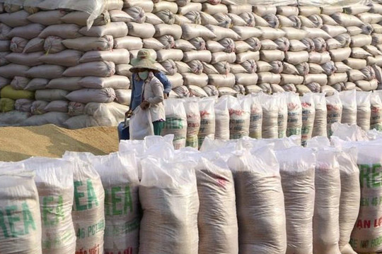 Indonesia tiếp tục nhập thêm 1,6 triệu tấn gạo