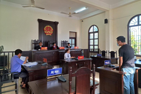 Lĩnh án 2 năm tù vì mua bán cá thể rùa đầu to