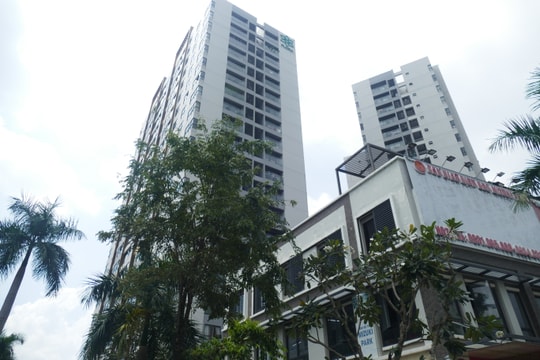 TP.HCM: 81.000 căn nhà chưa được cấp ‘sổ hồng’ dù đã đủ điều kiện?
