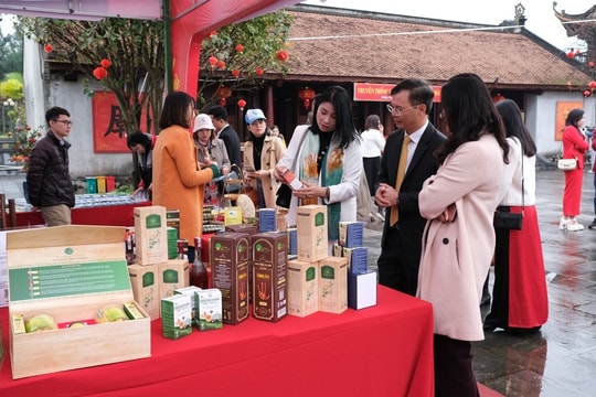 Vĩnh Phúc: Khai mạc Ngày hội Du lịch Xuân 2024