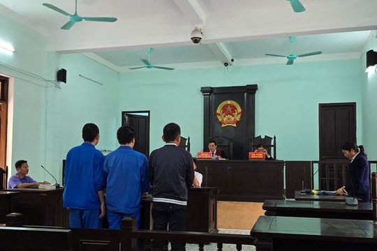 Xét xử đường dây mua bán thận