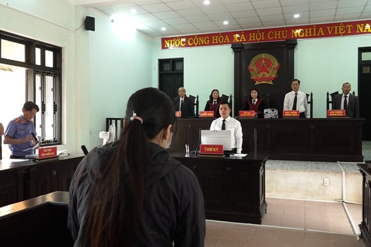 Áp dụng biện pháp chữa bệnh bắt buộc với đối tượng lừa đảo gần 29 tỉ đồng