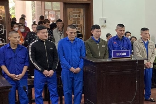 Tổ chức sử dụng ma túy tại quán bia