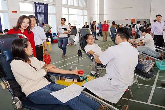Hơn 1.000 tình nguyện viên tham gia hiến máu tại lễ hội Xuân hồng năm 2024