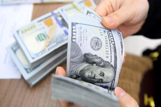 NHNN có thể bán ra một phần ngoại tệ trong dự trữ ngoại hối