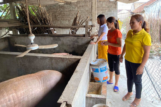 Gương phụ nữ điển hình trong việc học tập và làm theo lời Bác
