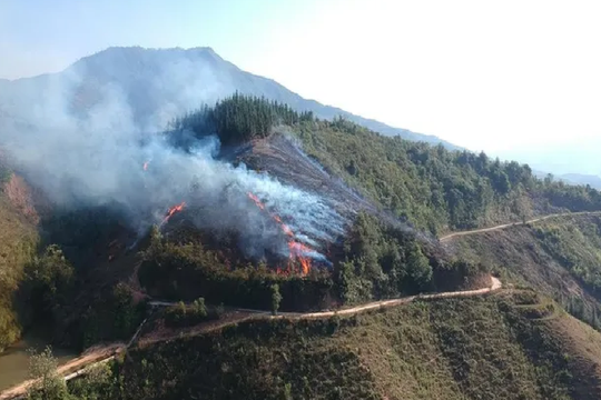 Sơn La: Huy động gần 250 người dập đám cháy rừng