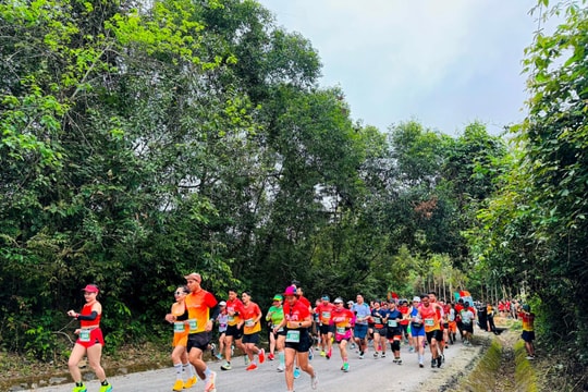 Giải "Marathon khám phá Quảng Bình" năm 2024