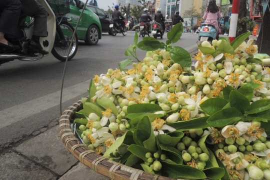 Thời tiết ngày 12/3: Miền Bắc hửng nắng ấm