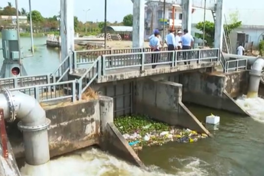 Long An: Chủ động ứng phó xâm nhập mặn, bảo vệ các vùng sản xuất