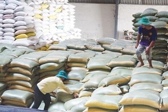 Hỗ trợ trên 600 tỷ đồng cho người cao tuổi 2 tháng đầu năm