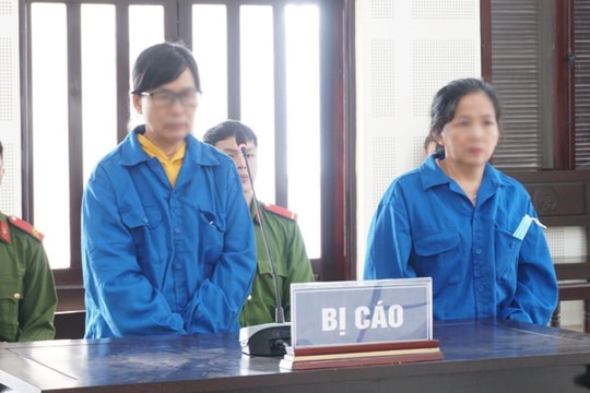 “Việt kiều dởm” chào bán đất, chiếm đoạt tiền tỷ