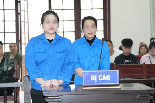 Cùng nhau đi lừa đảo, hai mẹ con dắt nhau vào tù
