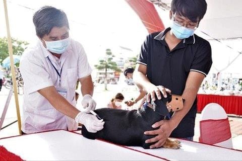 2 tháng đầu năm, 18 người tử vong do bệnh Dại