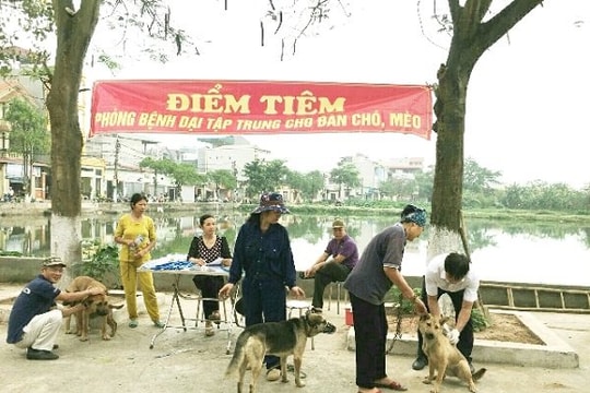 Sau 18 ca tử vong do bệnh dại, Thủ tướng chỉ đạo khẩn