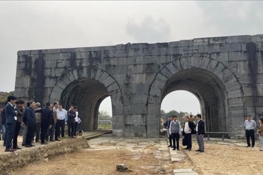 Cấm thầu đơn vị gian dối hồ sơ dự thầu