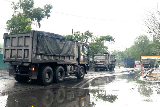 Quảng Ninh: “Hung thần” tung hoành cảng Khe Dây
