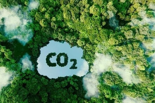 Vì sao giàu tiềm năng nhưng Quảng Nam vẫn khó bán tín chỉ carbon rừng?