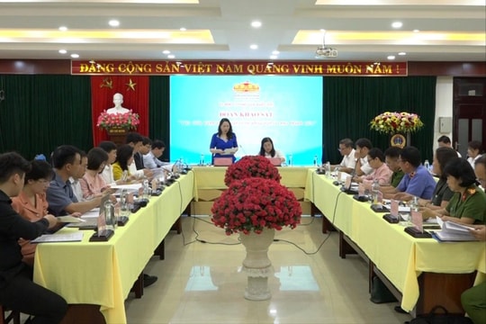 Khảo sát việc chấp hành pháp luật về tư pháp người chưa thành niên